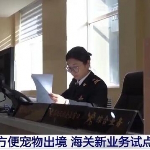 出国留学能带宠物一起吗？多地海关试行新政